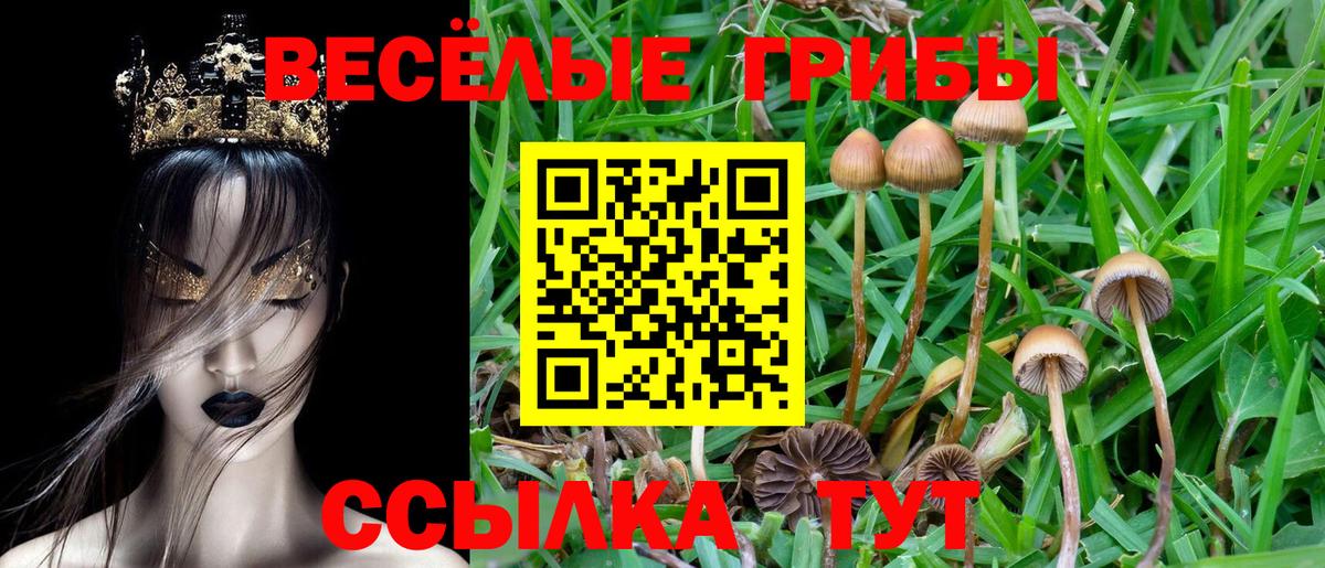 Галлюциногенные грибы Cubensis Назарово